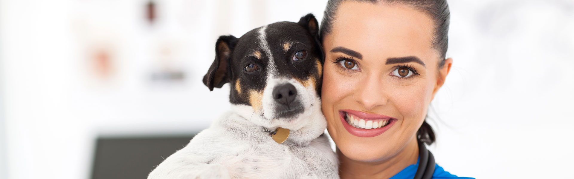 Veterinary nurse holding dog