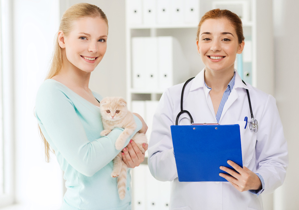 Oral Health With Pet Dental Care For My Pet Near Me In Jacksonville FL