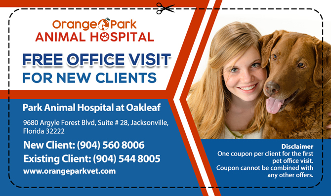 Veterinarian Oakleaf Plantation FL |Orange Park Animal Hospital