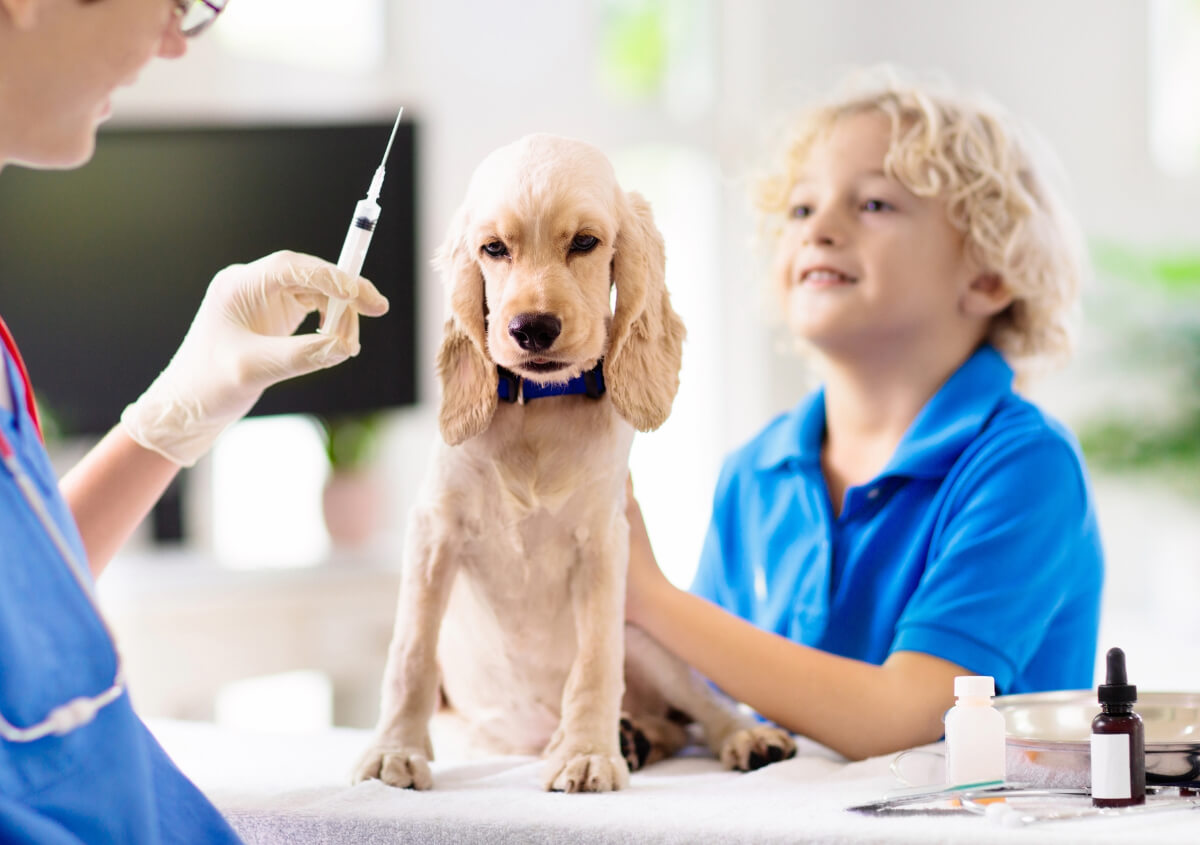 Pet Vaccinations in Jacksonville Fl area